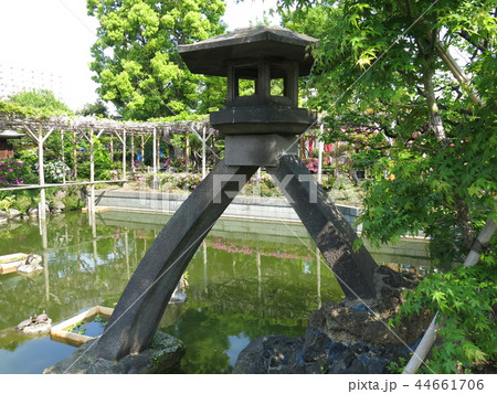 亀戸天神社の心字池にある琴柱灯籠 亀戸天神社の心字池にある琴柱灯籠 44661706