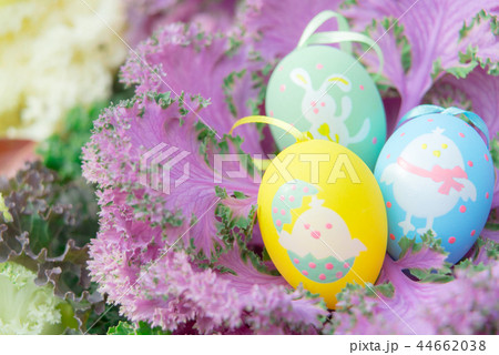 colorful easter egg standing on the purple cabbage colorful easter egg standing on the purple cabbage 44662038