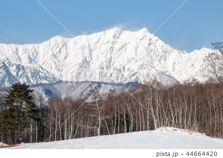 中山高原から望む鹿島槍ヶ岳 （冬） 44664420