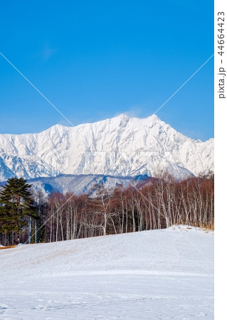 中山高原から望む鹿島槍ヶ岳 （冬） 44664423