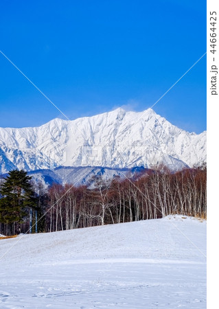 中山高原から望む鹿島槍ヶ岳 （冬） 44664425