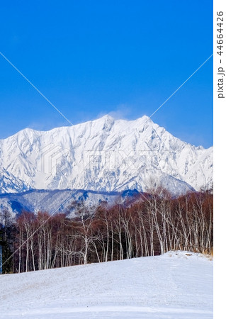 中山高原から望む鹿島槍ヶ岳 （冬） 44664426
