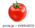 Tomato 44664650