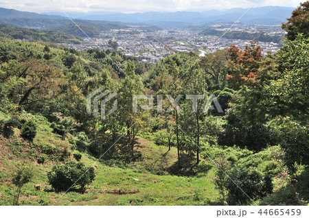 金沢市　卯辰山見晴らし台 44665459