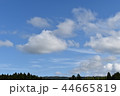青空と森 44665819