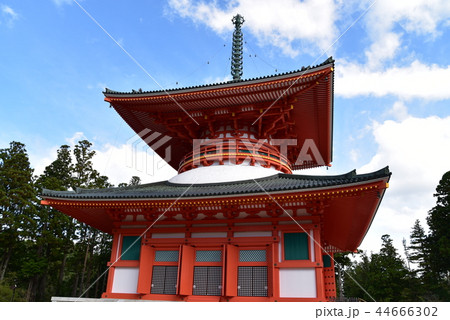 【世界遺産 紀伊山地の霊場と参詣道】高野山壇上伽藍の根本大塔と秋晴れの空 和歌山県伊都郡高野町 【世界遺産 紀伊山地の霊場と参詣道】高野山壇上伽藍の根本大塔と秋晴れの空 和歌山県伊都郡高野町 44666302
