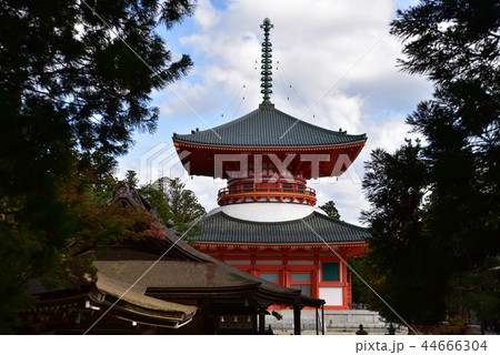 【世界遺産 紀伊山地の霊場と参詣道】秋の日の高野山壇上伽藍と根本大塔 和歌山県伊都郡高野町 【世界遺産 紀伊山地の霊場と参詣道】秋の日の高野山壇上伽藍と根本大塔 和歌山県伊都郡高野町 44666304