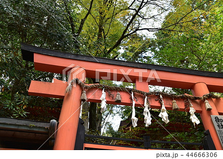 【世界遺産 紀伊山地の霊場と参詣道】高野山壇上伽藍の御社の朱塗りの鳥居 和歌山県伊都郡高野町 【世界遺産 紀伊山地の霊場と参詣道】高野山壇上伽藍の御社の朱塗りの鳥居 和歌山県伊都郡高野町 44666306