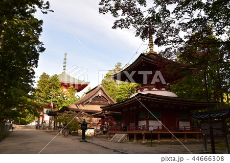 【世界遺産 紀伊山地の霊場と参詣道】秋晴れの朝の高野山壇上伽藍 和歌山県伊都郡高野町 【世界遺産 紀伊山地の霊場と参詣道】秋晴れの朝の高野山壇上伽藍 和歌山県伊都郡高野町 44666308