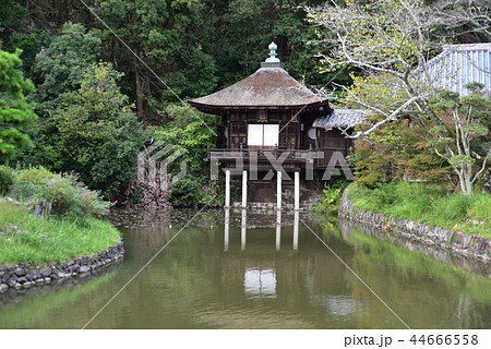 【近畿三十六不動霊場】第三十四番 根来寺の聖天堂 和歌山県岩出市 【近畿三十六不動霊場】第三十四番 根来寺の聖天堂 和歌山県岩出市 44666558