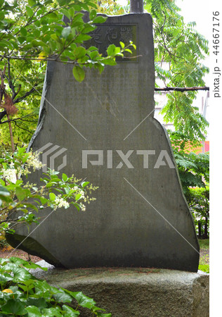 新潟市内散歩：白山公園・藤井如夢斉碑 44667176