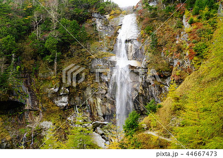 鳳凰三山　ドンドコ沢　 44667473