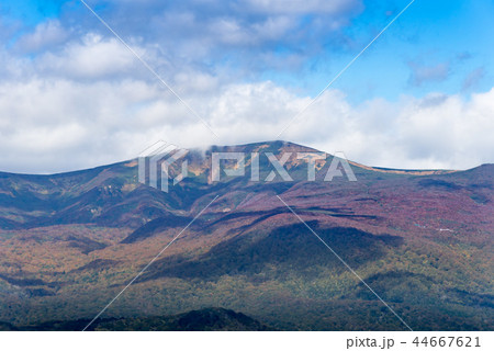 紅葉の栗駒山 44667621