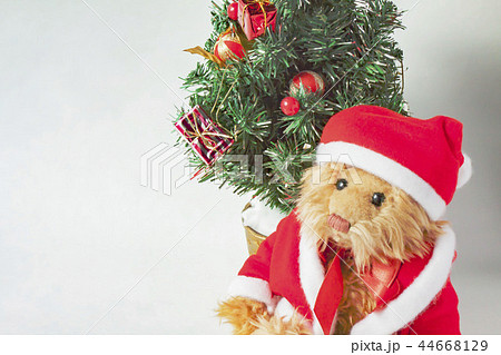 クリスマスツリーとテディーベア 44668129