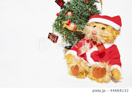 クリスマスツリーとテディーベア クリスマスツリーとテディーベア 44668132