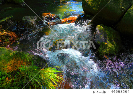 木陰の中を清らかに流れる中津川 木陰の中を清らかに流れる中津川 44668564
