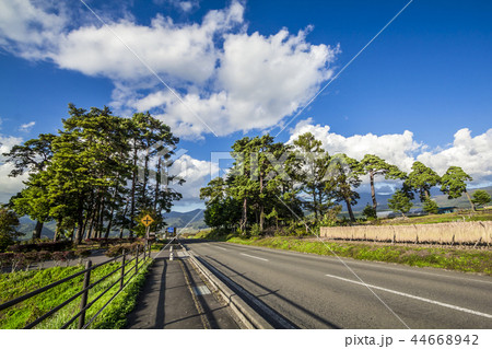 長野県 茅野市風景 八ヶ岳エコーライン 長野県 茅野市風景 八ヶ岳エコーライン 44668942
