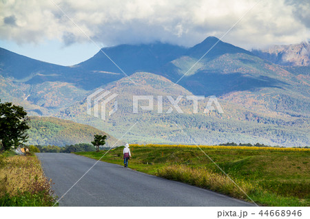 長野県 茅野市風景 八ヶ岳 長野県 茅野市風景 八ヶ岳 44668946