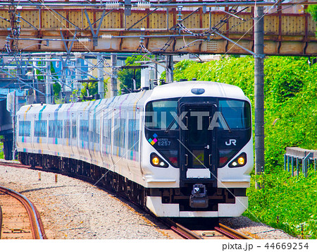 E257系特急電車 44669254