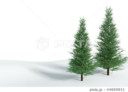 雪面に生える２本の針葉樹のイラスト素材