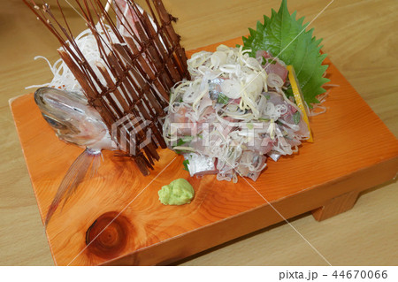 鯵の叩き 44670066