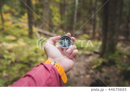 A beautiful male hand with a yellow watch strap holds a magnetic compass in the coniferous autumn 44670685
