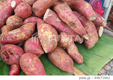Sweet potato at street food 44671662