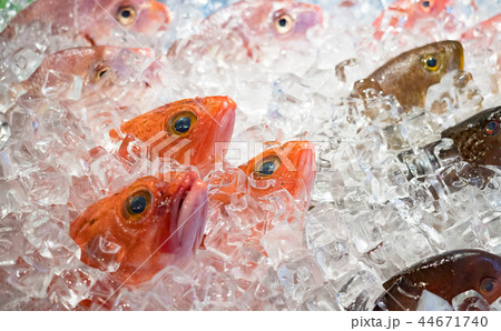 市場 マーケット 市 44671740