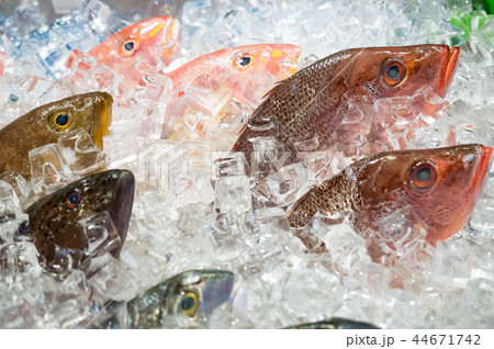 市場 マーケット 市 44671742