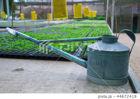 watering pot with plant nursery farm background 44672419