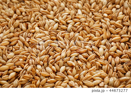 heap of pearl barley grains, vegetarian food heap of pearl barley grains, vegetarian food 44673277
