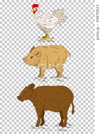 雞和豬和母牛的例證 44676023