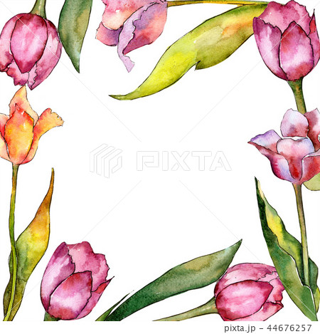 Watercolor pink tulip flower. Floral botanical flower. Frame border ornament square. Watercolor pink tulip flower. Floral botanical flower. Frame border ornament square. 44676257