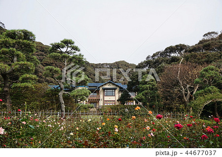 鎌倉文学館 Kamakura Museum of Literature 鎌倉文学館 Kamakura Museum of Literature 44677037