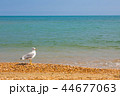 Adriatic Sea coast view. summer sandy beach  44677063