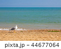Adriatic Sea coast view. summer sandy beach  44677064
