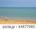 Adriatic Sea coast view. summer sandy beach  44677065