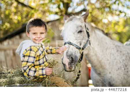 A boy in a beautiful Autumn season with and horse A boy in a beautiful Autumn season with and horse 44677218