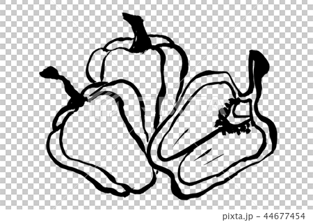 筆絵 ピーマンのイラスト素材 44677454 Pixta