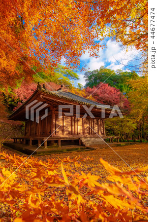紅葉の国宝 富貴寺 紅葉の国宝 富貴寺 44677474