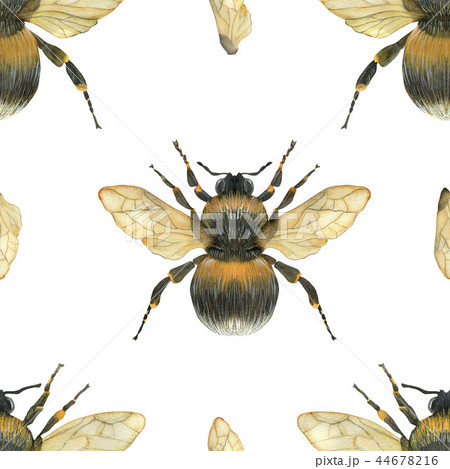 Watercolor seamless pattern Fat Bumblebee 44678216