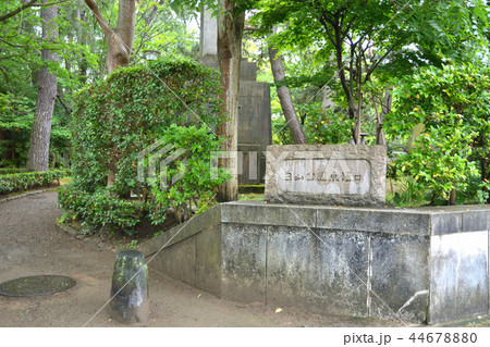 新潟市内散歩:白山公園東堀口 新潟市内散歩:白山公園東堀口 44678880