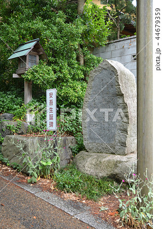 新潟市内散歩:新潟大神宮参道の安吾生誕碑 新潟市内散歩:新潟大神宮参道の安吾生誕碑 44679359