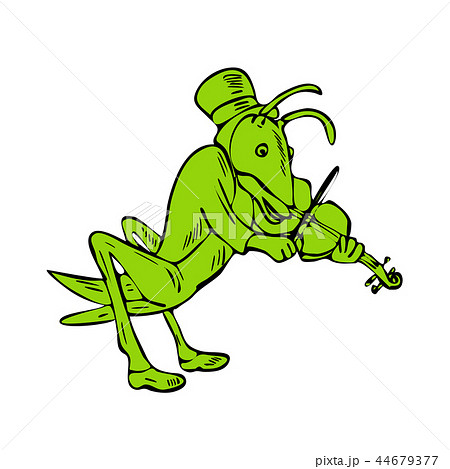 Grasshopper Fiddler Drawing Grasshopper Fiddler Drawing 44679377