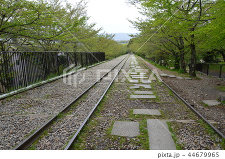 琵琶湖疏水インクライン(京都市東山区) 琵琶湖疏水インクライン(京都市東山区) 44679965