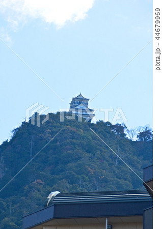 金華山･岐阜城の天守閣（岐阜県岐阜市） 44679969
