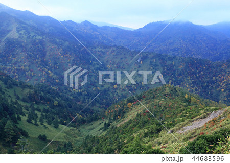 志賀高原　紅葉 44683596