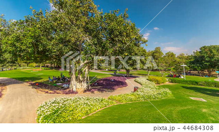 Alley with green lawn and trees at Dubai Creek park timelapse. Dubai, United Arab Emirates 44684308