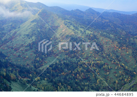 志賀高原　紅葉 44684895