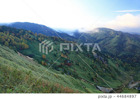 志賀高原 紅葉 志賀高原 紅葉 44684897